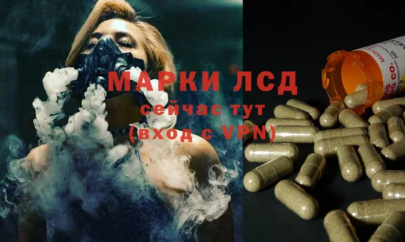 omg онион  Курильск  Лсд 25 экстази ecstasy 